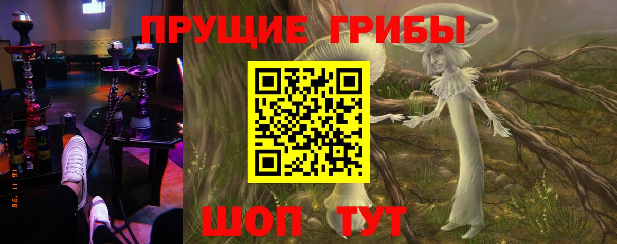 Псилоцибиновые грибы Psilocybine cubensis  Галлюциногенные грибы Psilocybine cubensis  Апрелевка  Вход с VPN 
